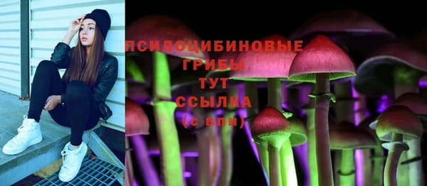 дживик Баксан