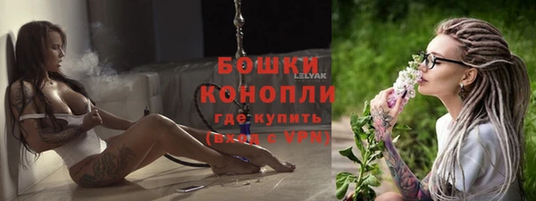 дживик Баксан