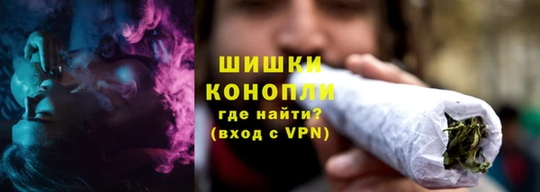 ешки Аркадак