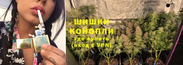 ешки Аркадак